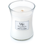WHITE TEA & JASMINE WHITE TEA & JASMINE